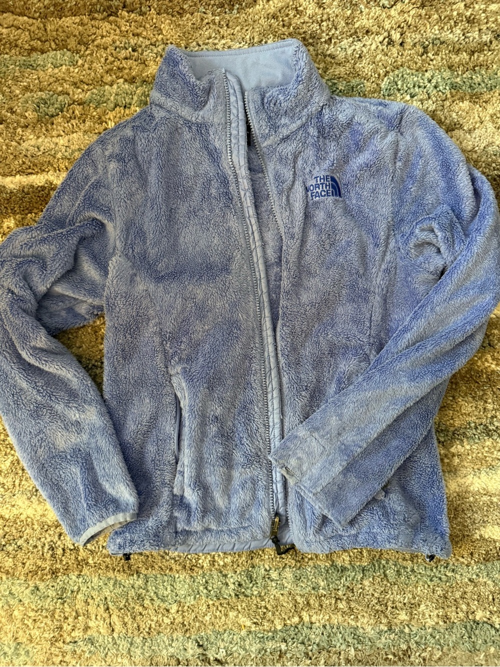 The North Face Light Blue/purple Teddy Fleece Jacket